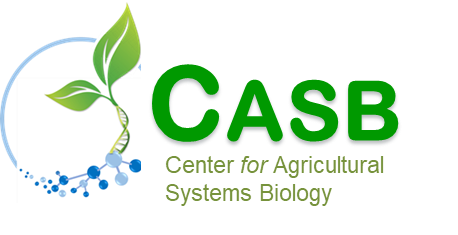 CASB logo